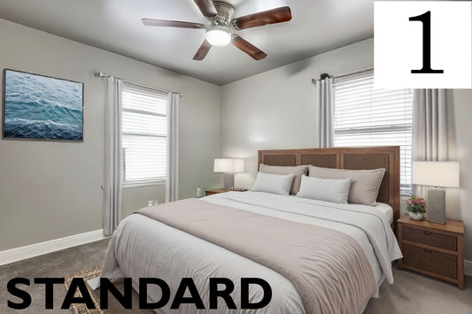 A. Virtual Staging - 1 Photo